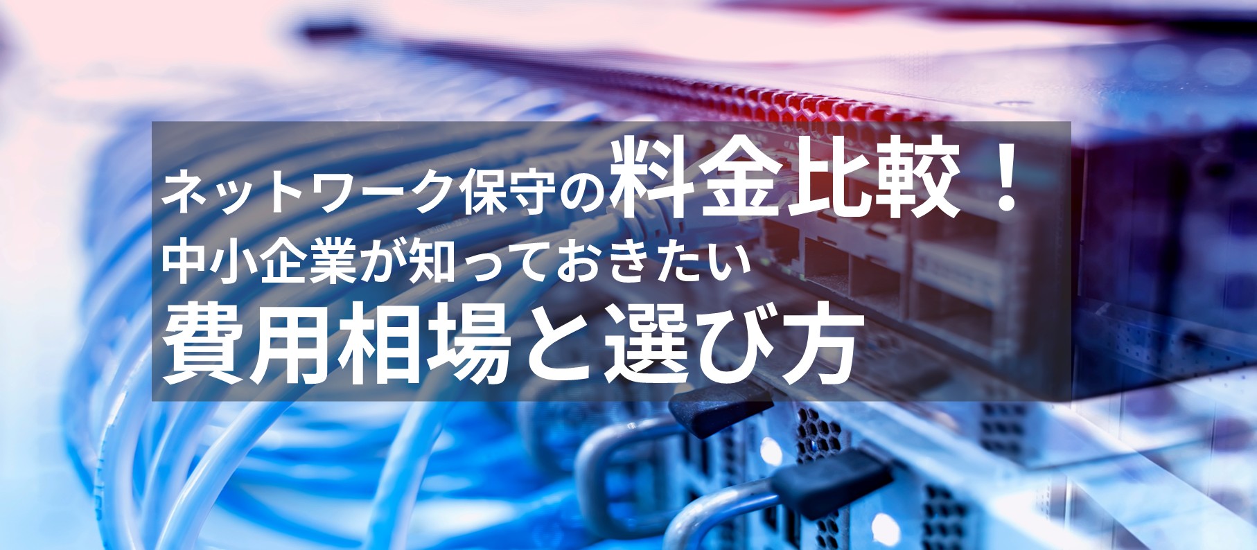 ネットワーク保守の料金を比較！中小企業が知っておきたい費用相場と選び方